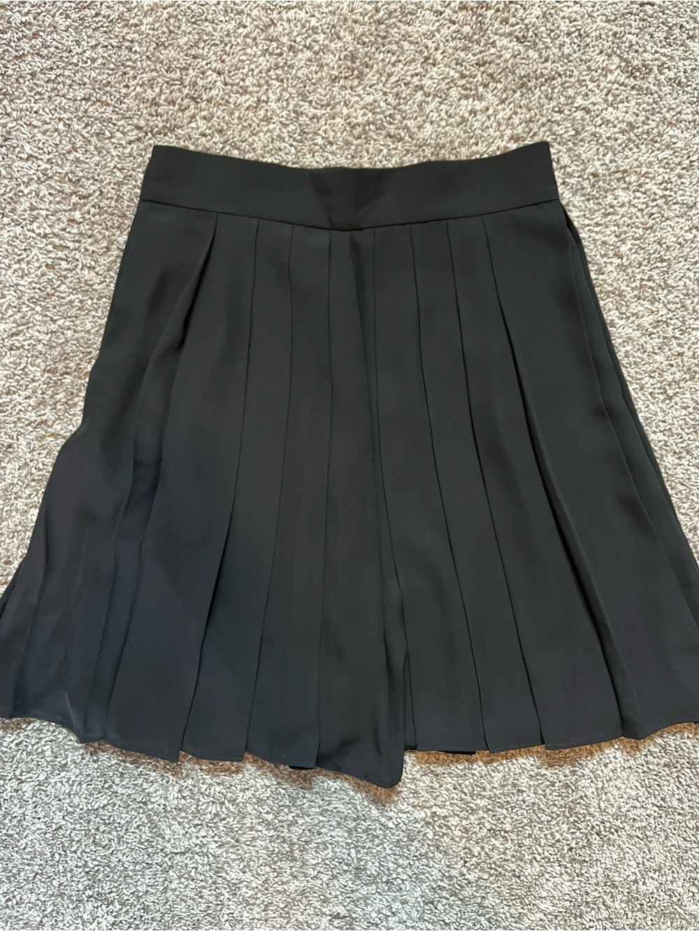 Black Pleated A-Line Skirt
